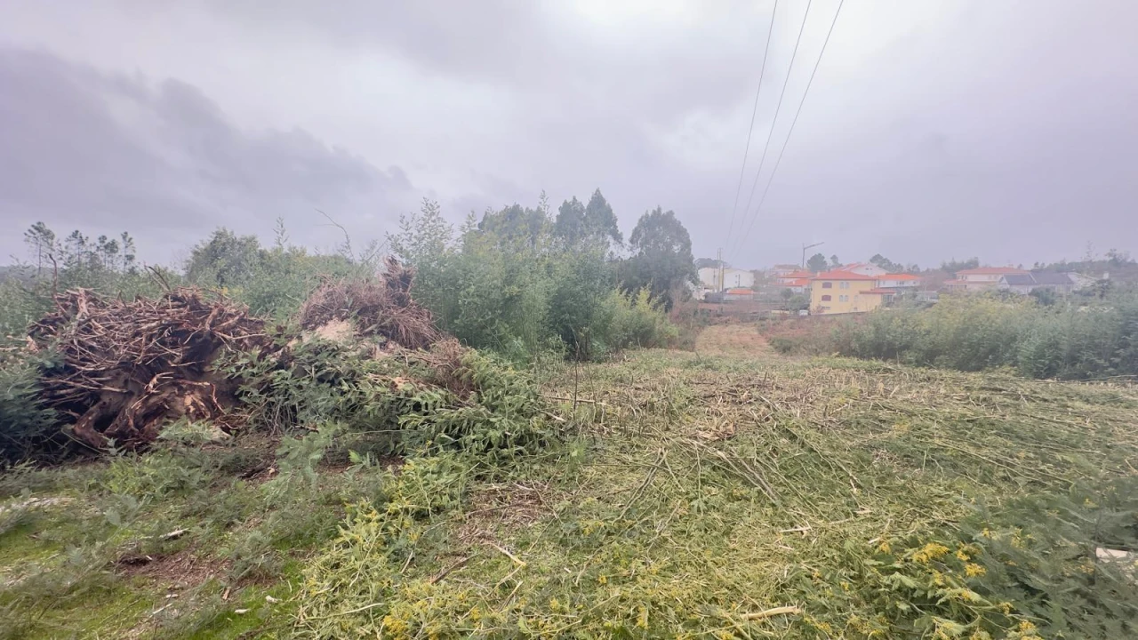 Terreno Agricola ou Rústico para Venda em Mundão Foto 11