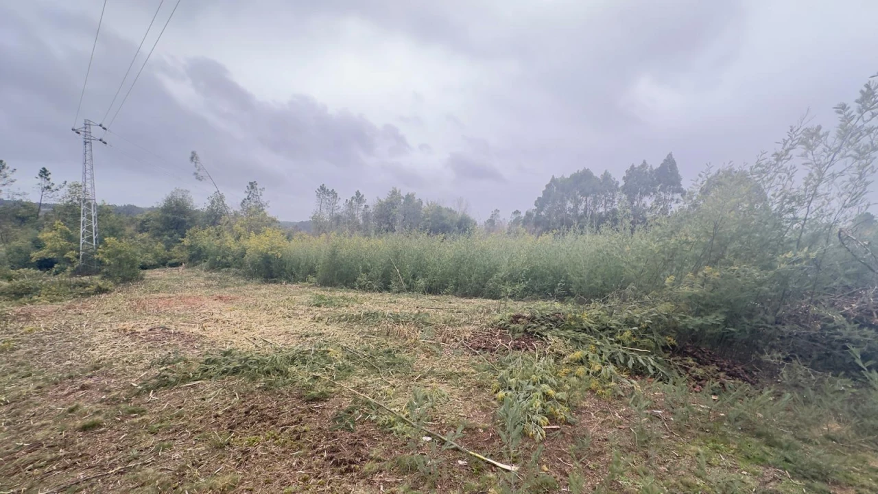 Terreno Agricola ou Rústico para Venda em Mundão Foto 12