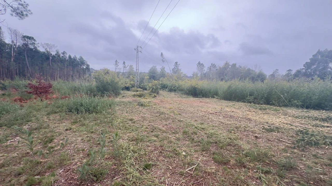 Terreno Agricola ou Rústico para Venda em Mundão Foto 13