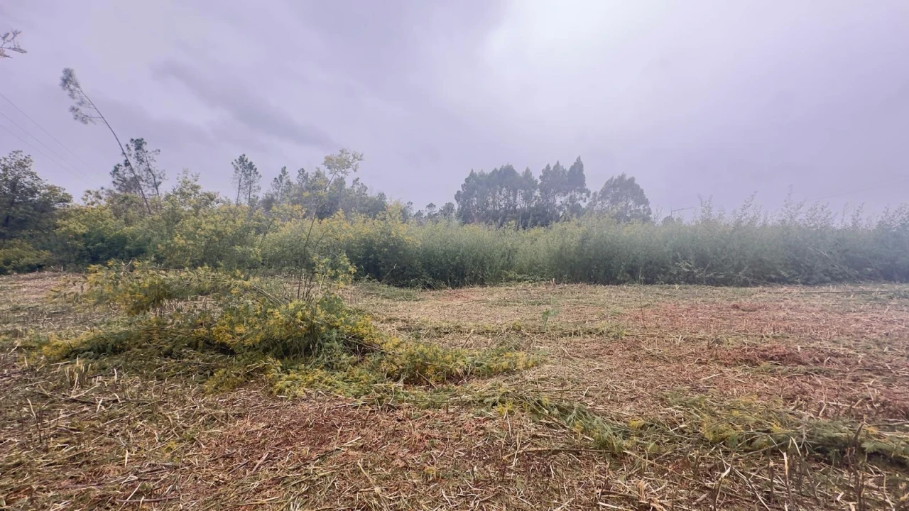 Terreno Agricola ou Rústico para Venda em Mundão Foto 14