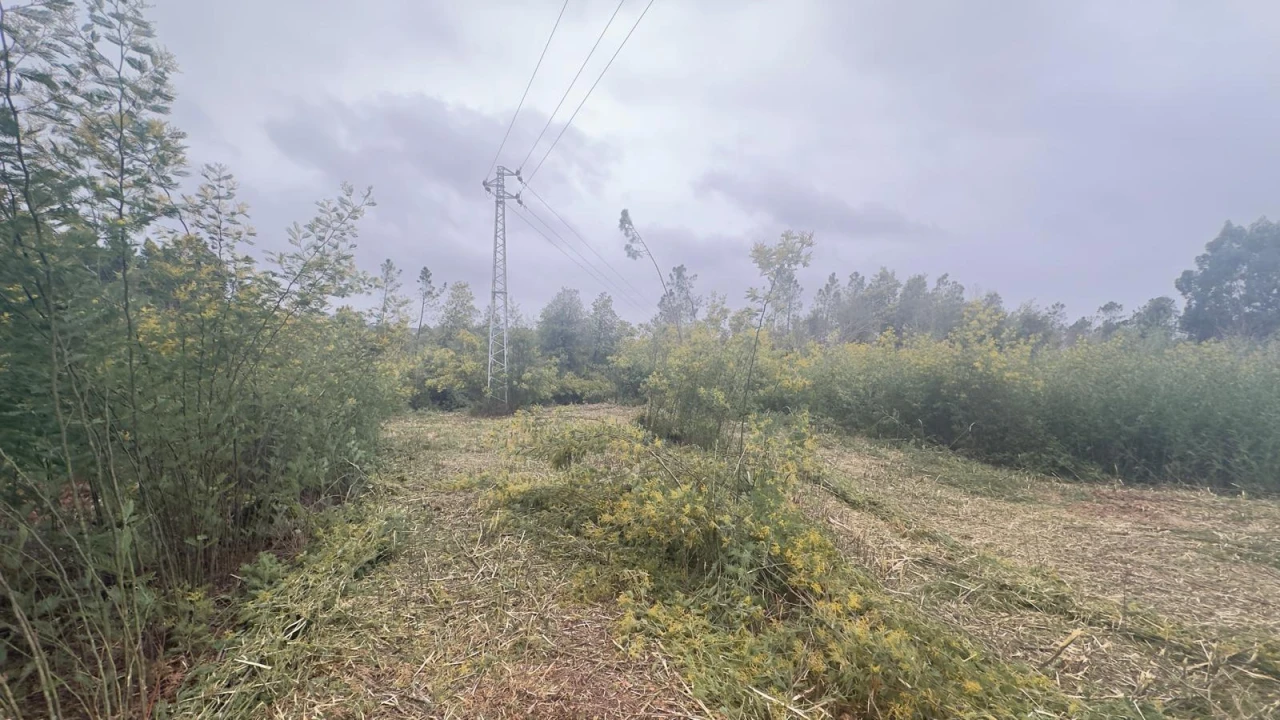 Terreno Agricola ou Rústico para Venda em Mundão Foto 15