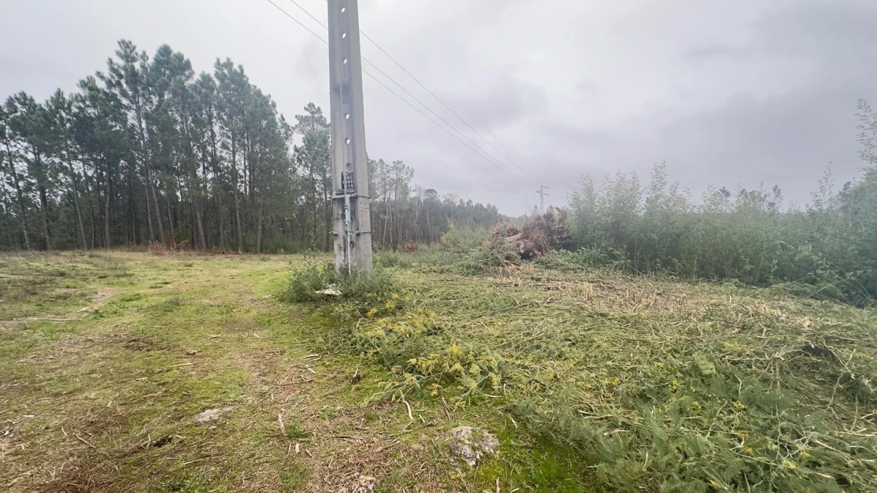 Terreno Agricola ou Rústico para Venda em Mundão Foto 17