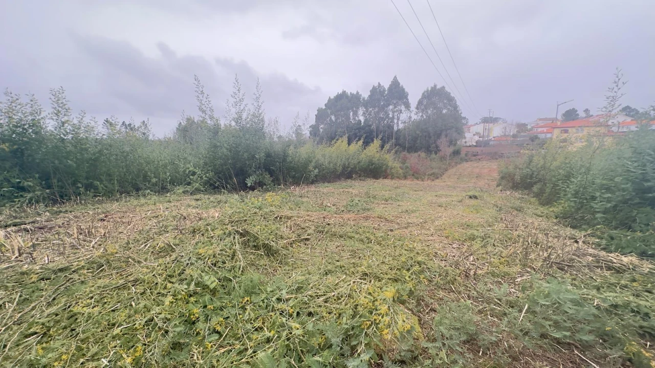 Terreno Agricola ou Rústico para Venda em Mundão Foto 2