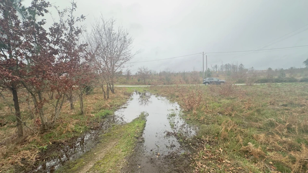 Terreno Agricola ou Rústico para Venda em Mundão Foto 20