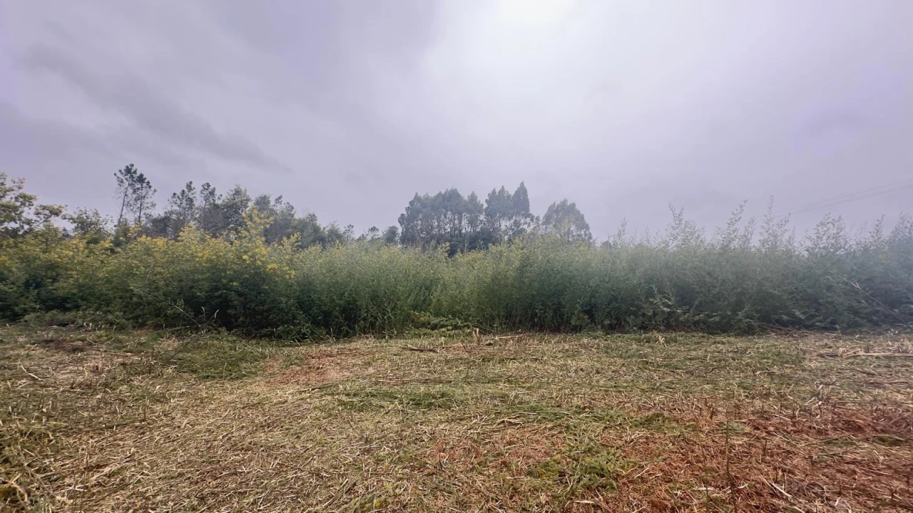Terreno Agricola ou Rústico para Venda em Mundão Foto 25