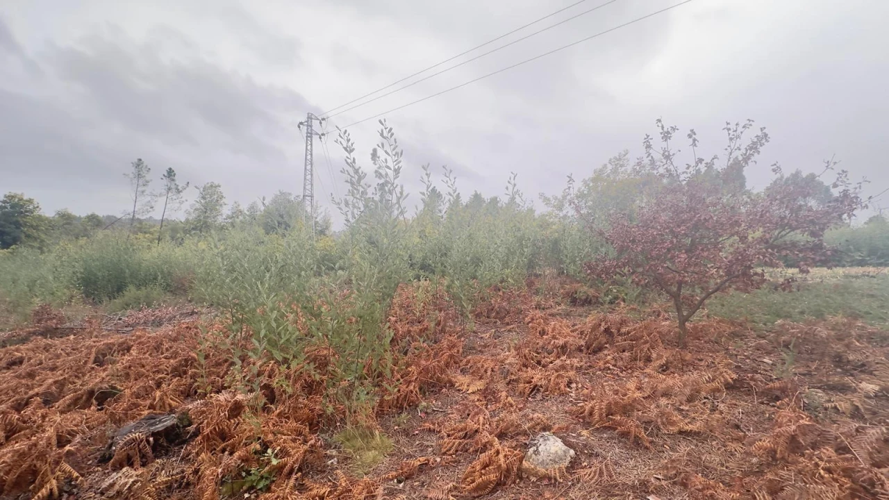 Terreno Agricola ou Rústico para Venda em Mundão Foto 29