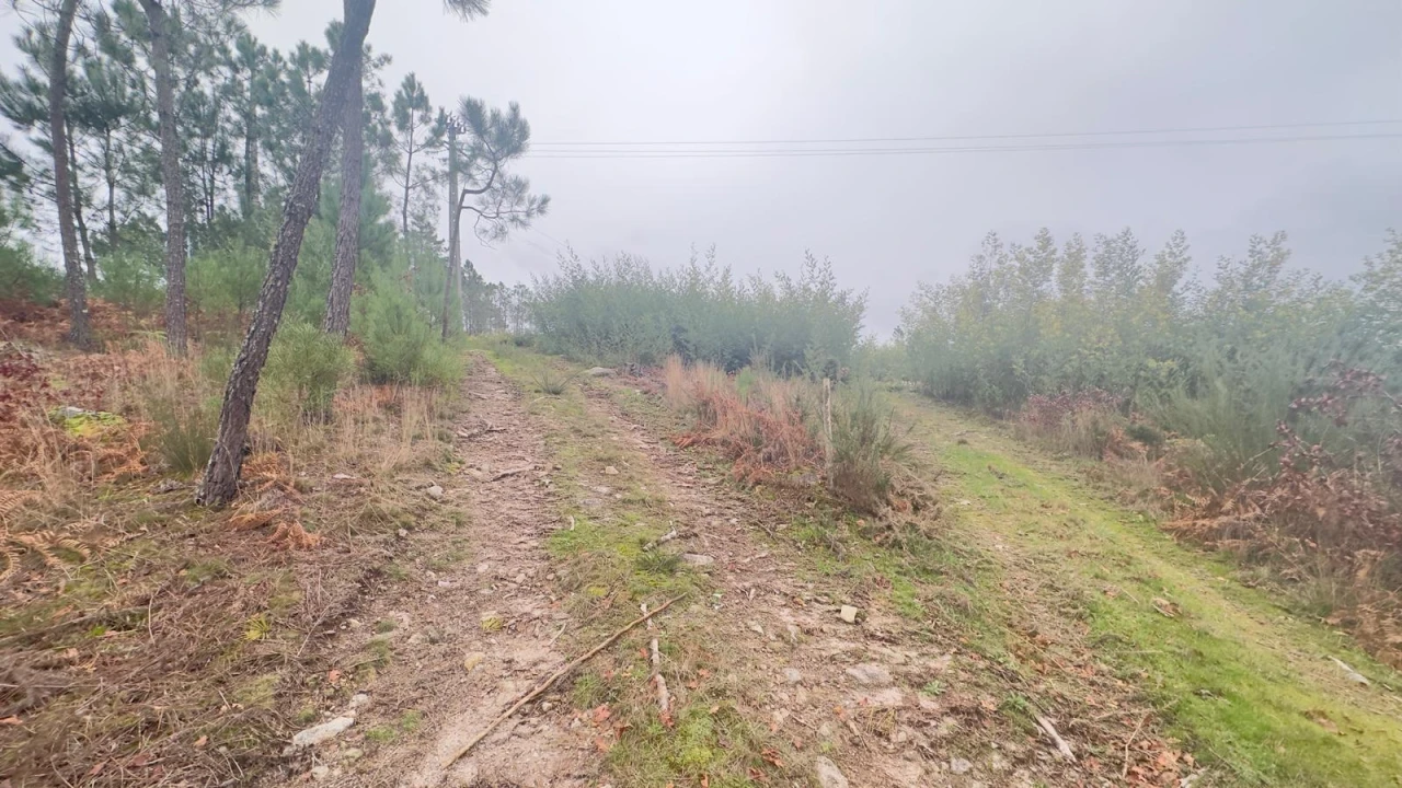 Terreno Agricola ou Rústico para Venda em Mundão Foto 4