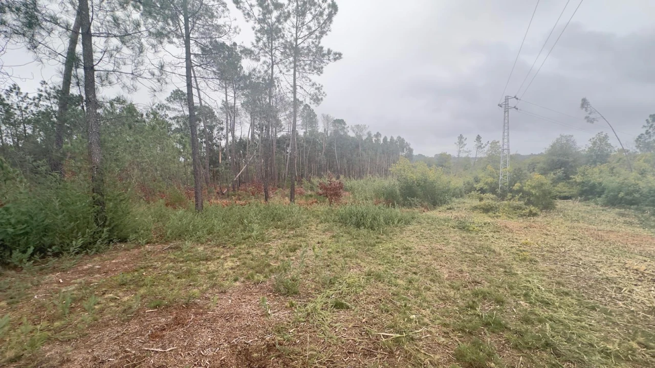 Terreno Agricola ou Rústico para Venda em Mundão Foto 5