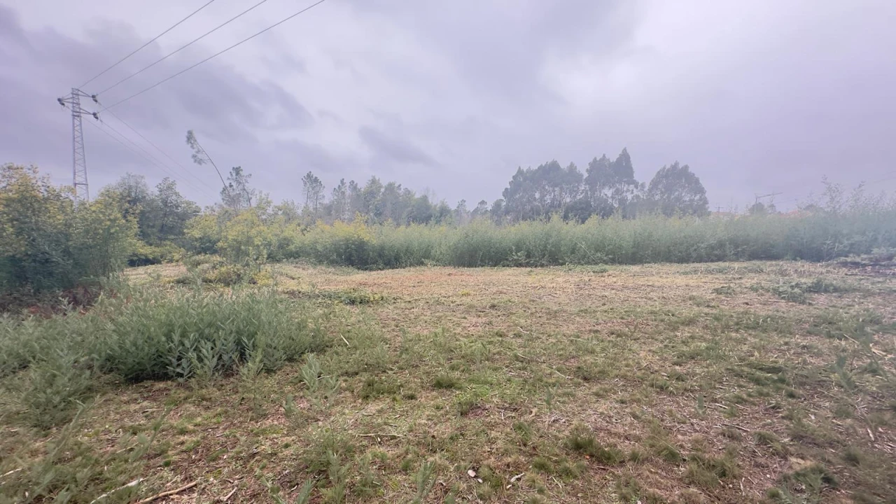 Terreno Agricola ou Rústico para Venda em Mundão Foto 6