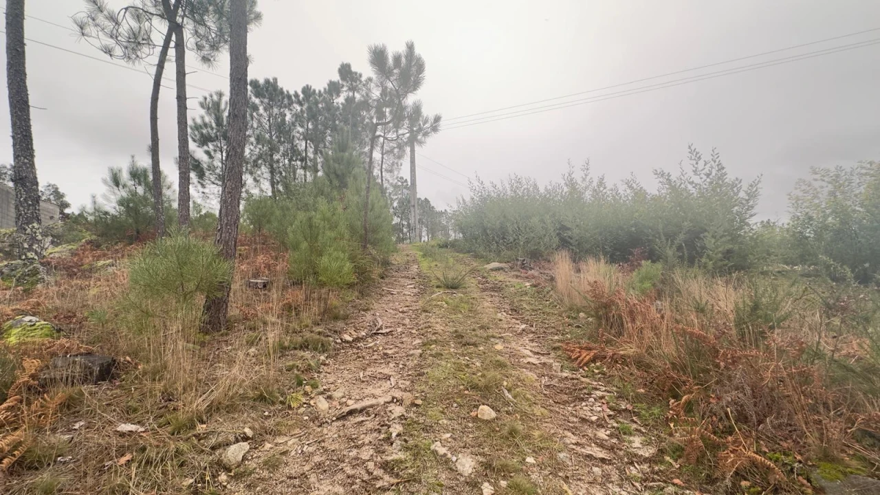 Terreno Agricola ou Rústico para Venda em Mundão Foto 7