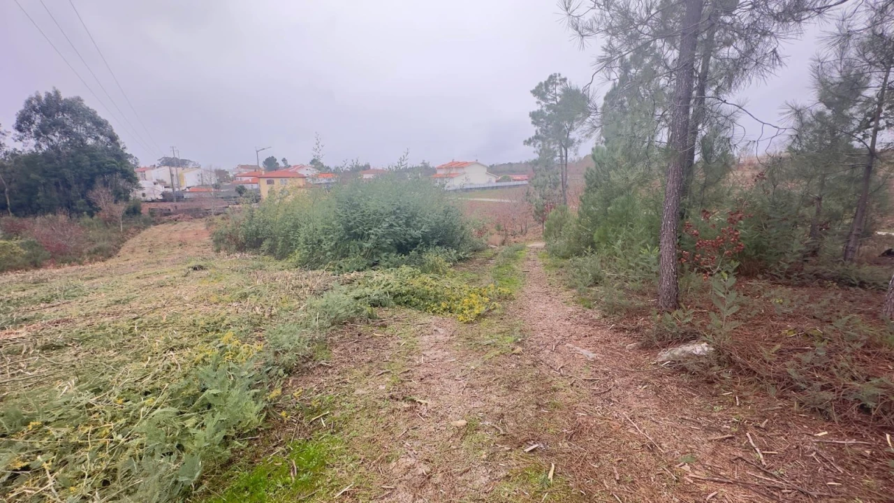 Terreno Agricola ou Rústico para Venda em Mundão Foto 8