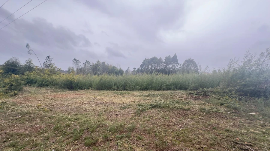 Terreno Agricola ou Rústico para Venda em Mundão Foto 1