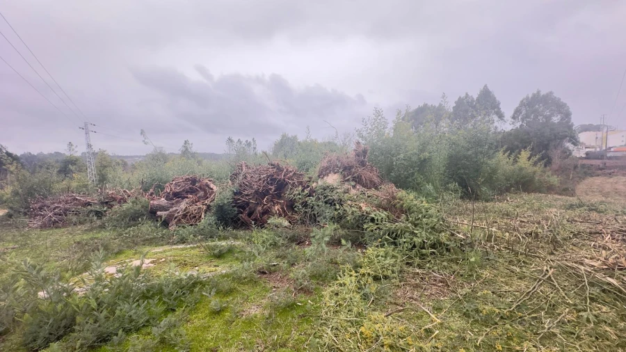 Terreno Agricola ou Rústico para Venda em Mundão Foto 10