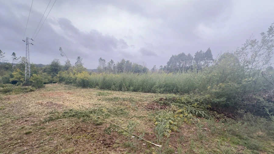 Terreno Agricola ou Rústico para Venda em Mundão Foto 12