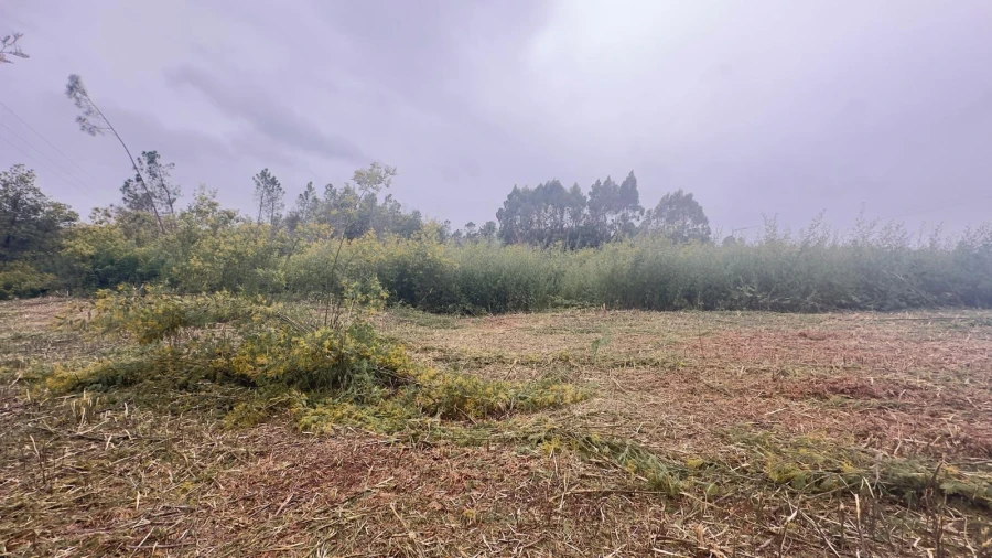 Terreno Agricola ou Rústico para Venda em Mundão Foto 14