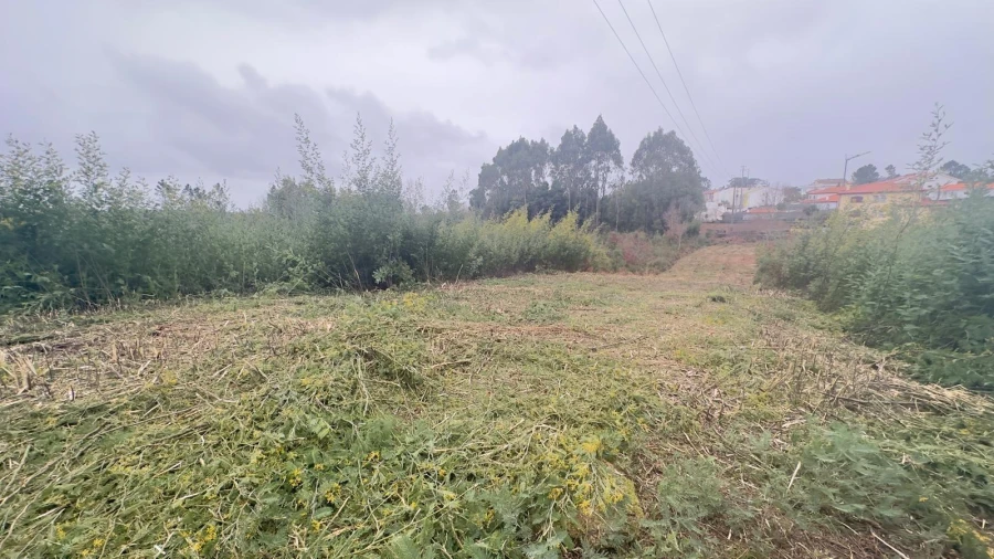 Terreno Agricola ou Rústico para Venda em Mundão Foto 2