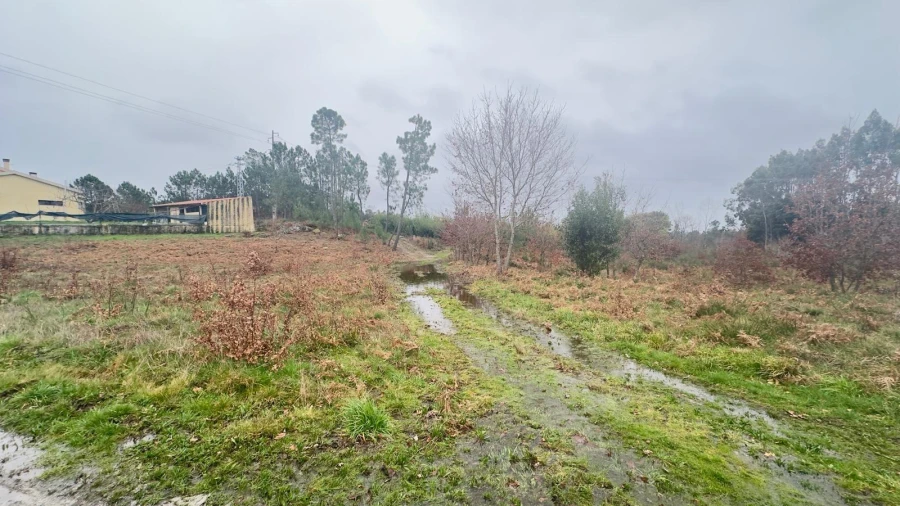Terreno Agricola ou Rústico para Venda em Mundão Foto 21