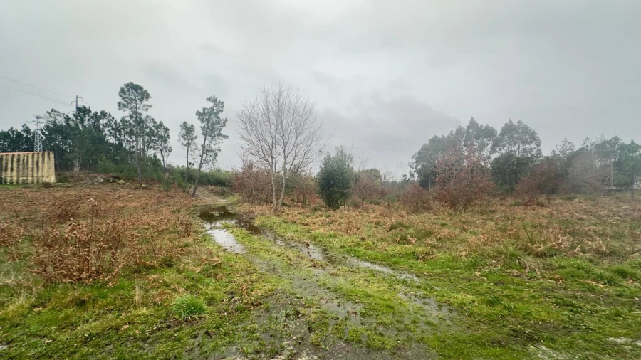 Terreno Agricola ou Rústico para Venda em Mundão Foto 22