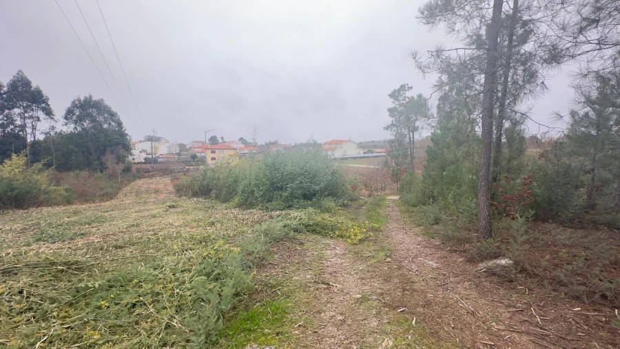 Terreno Agricola ou Rústico para Venda em Mundão Foto 23