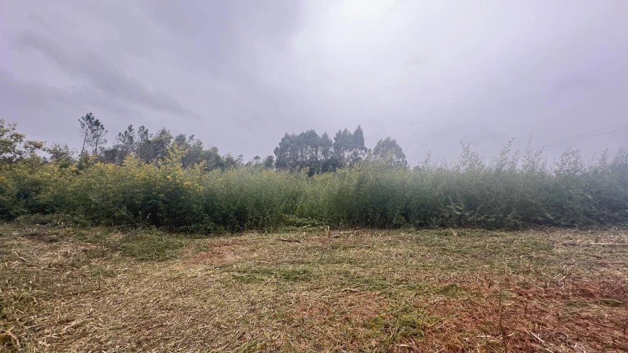 Terreno Agricola ou Rústico para Venda em Mundão Foto 25