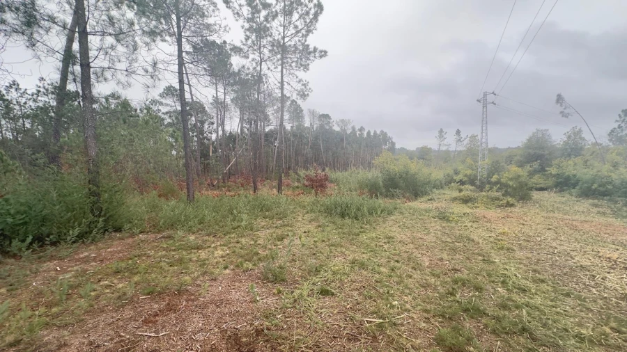 Terreno Agricola ou Rústico para Venda em Mundão Foto 5