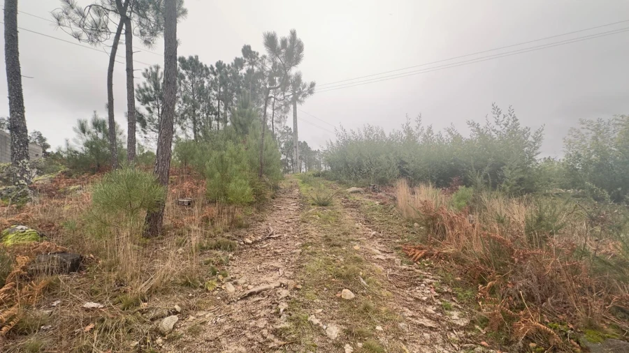 Terreno Agricola ou Rústico para Venda em Mundão Foto 7