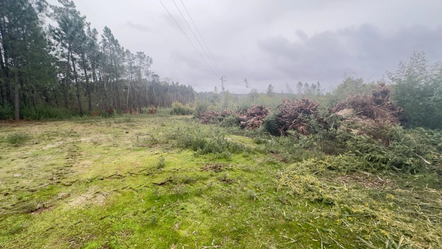 Terreno Agricola ou Rústico para Venda em Mundão Foto 9