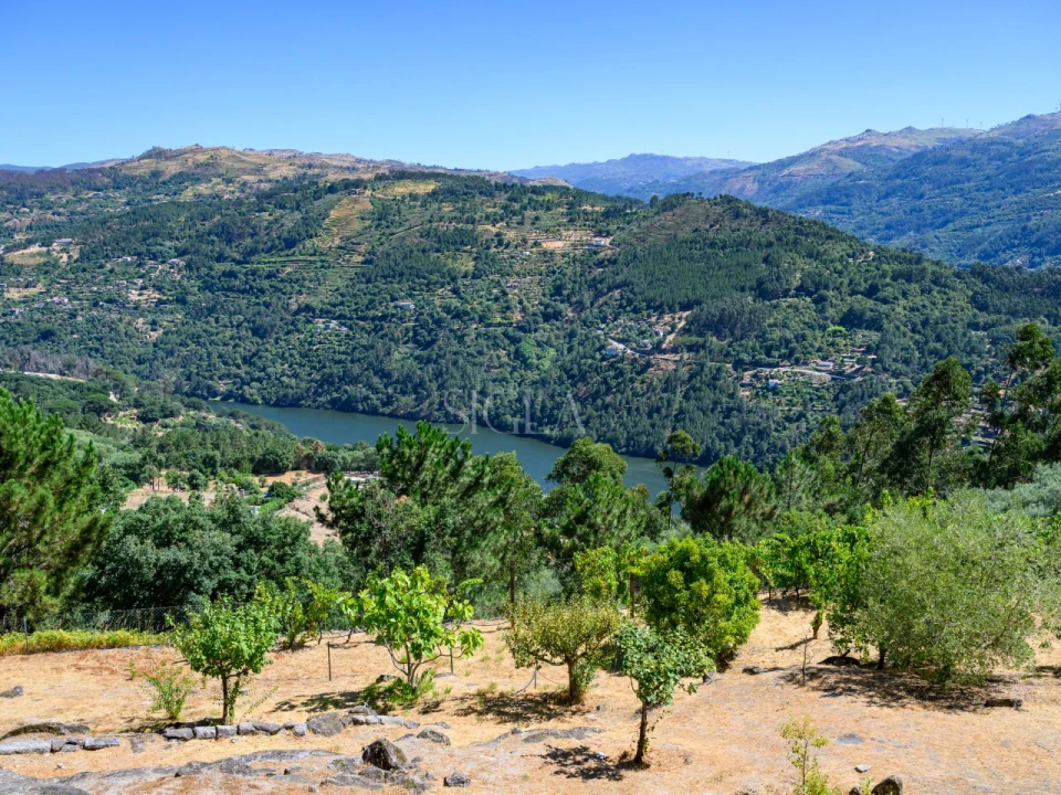 Quinta T5 para Venda em Ancede e Ribadouro Foto 12