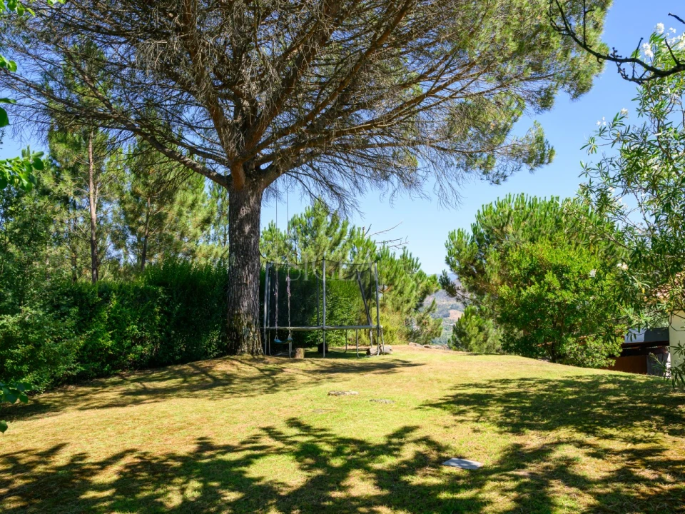 Quinta T5 para Venda em Ancede e Ribadouro Foto 13