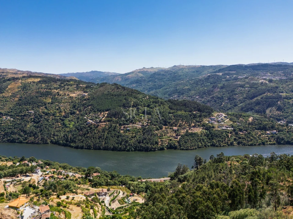 Quinta T5 para Venda em Ancede e Ribadouro Foto 28