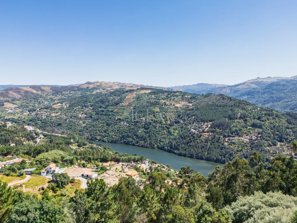 Quinta T5 para Venda em Ancede e Ribadouro Foto 30