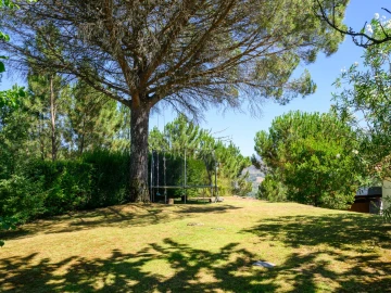 Quinta T5 para Venda em Ancede e Ribadouro