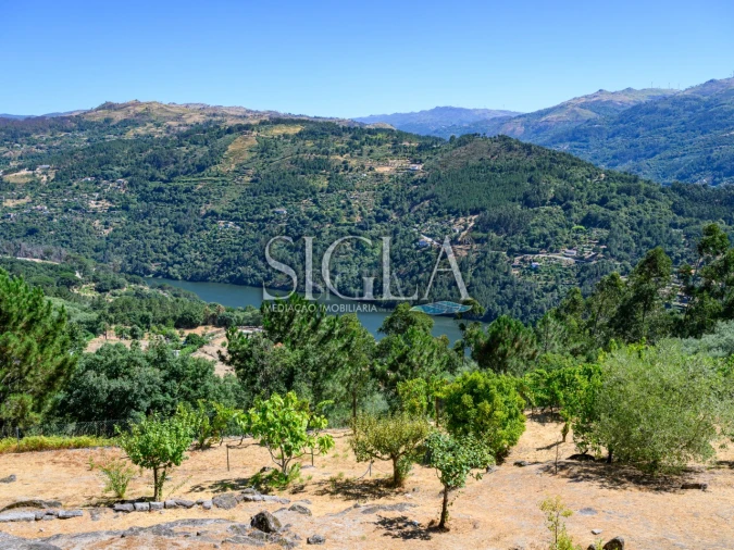 Quinta T5 para Venda em Ancede e Ribadouro Foto 16