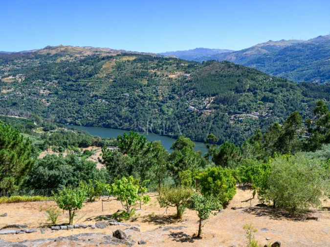 Quinta T5 para Venda em Ancede e Ribadouro Foto 12