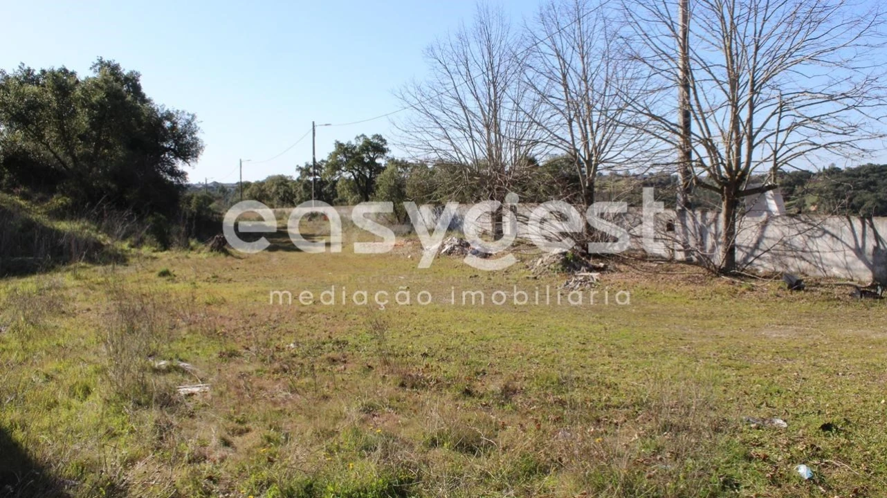 Quinta T12 para Venda em São Miguel do Rio Torto e Rossio Ao Sul do Tejo Foto 17