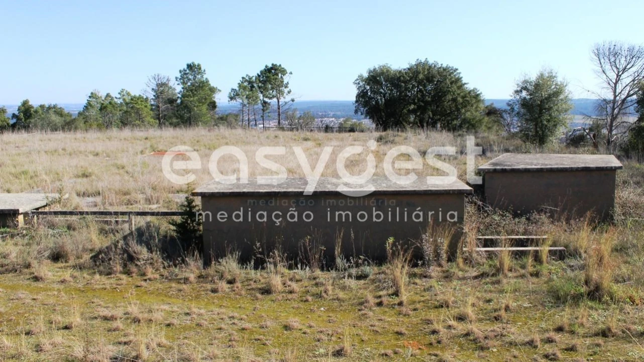 Quinta T12 para Venda em São Miguel do Rio Torto e Rossio Ao Sul do Tejo Foto 23
