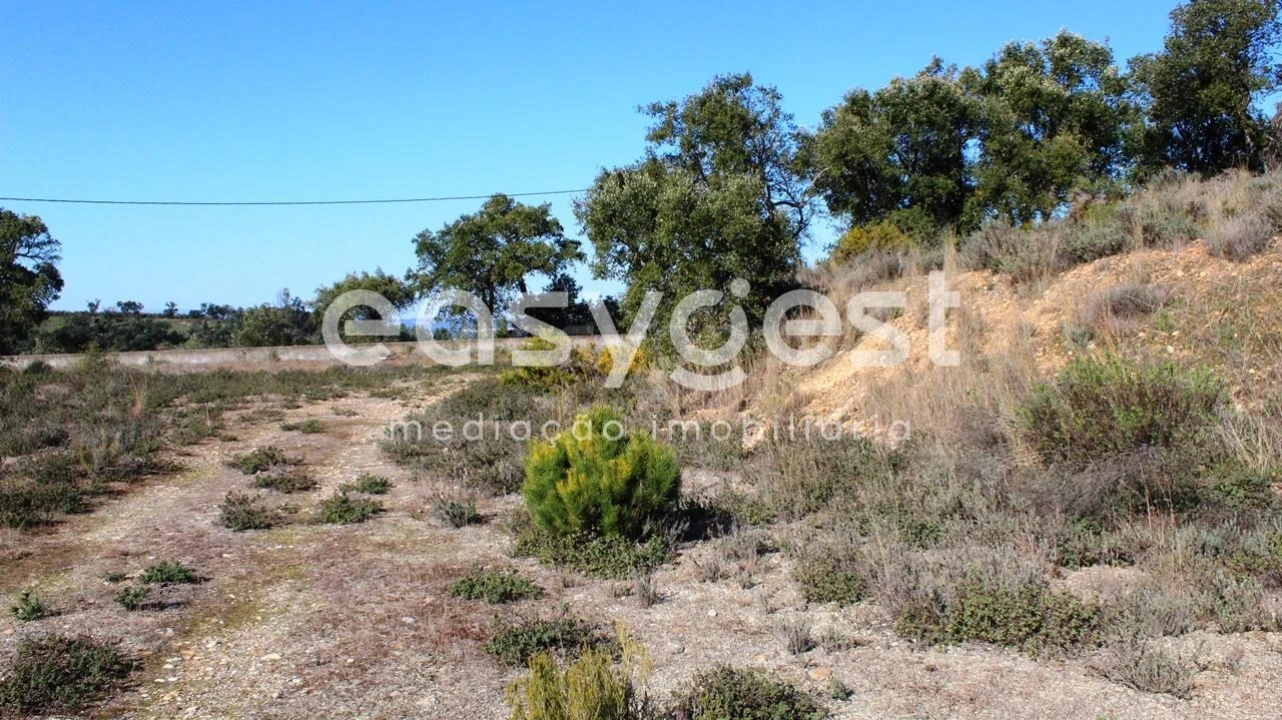 Quinta T12 para Venda em São Miguel do Rio Torto e Rossio Ao Sul do Tejo Foto 25