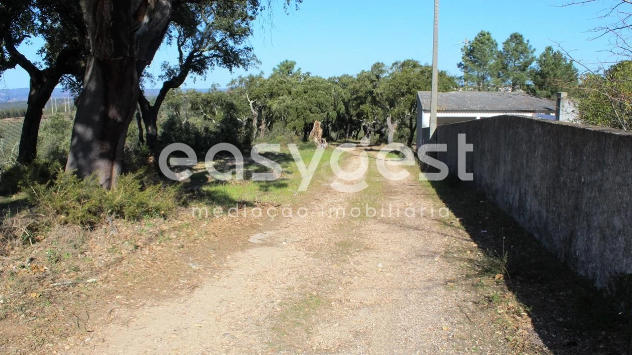 Quinta T12 para Venda em São Miguel do Rio Torto e Rossio Ao Sul do Tejo Foto 27