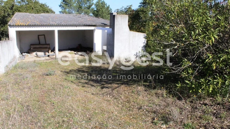 Quinta T12 para Venda em São Miguel do Rio Torto e Rossio Ao Sul do Tejo Foto 18