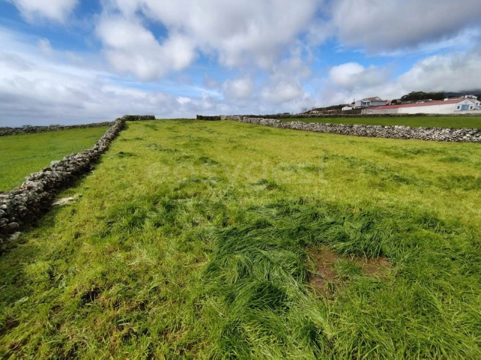 Terreno Agricola ou Rústico para Venda em São Mateus da Calheta Foto 3