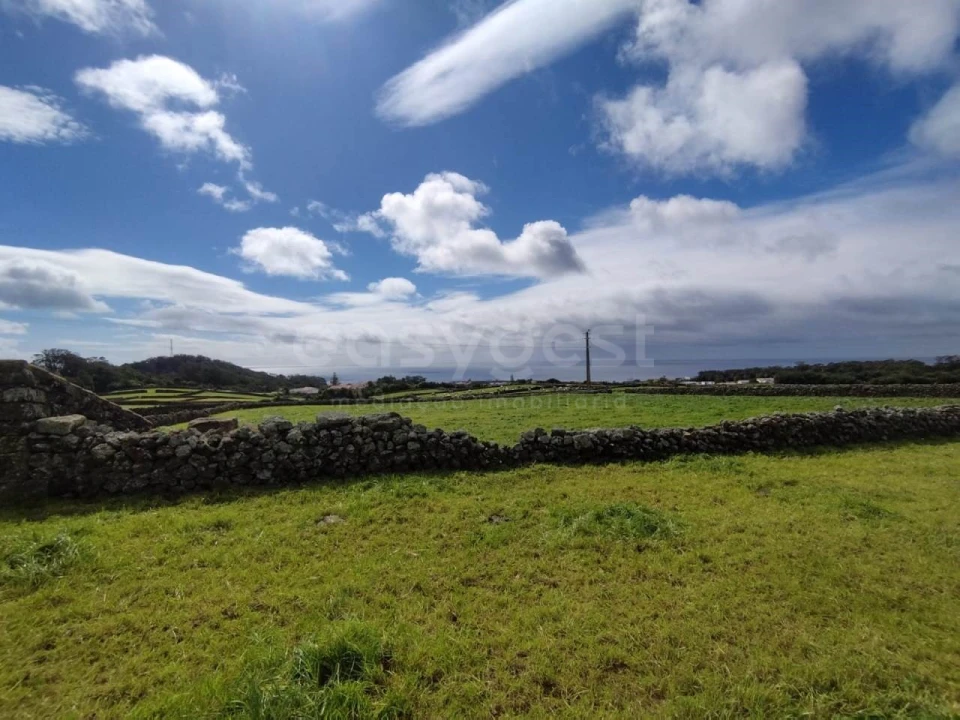 Terreno Agricola ou Rústico para Venda em São Mateus da Calheta Foto 8