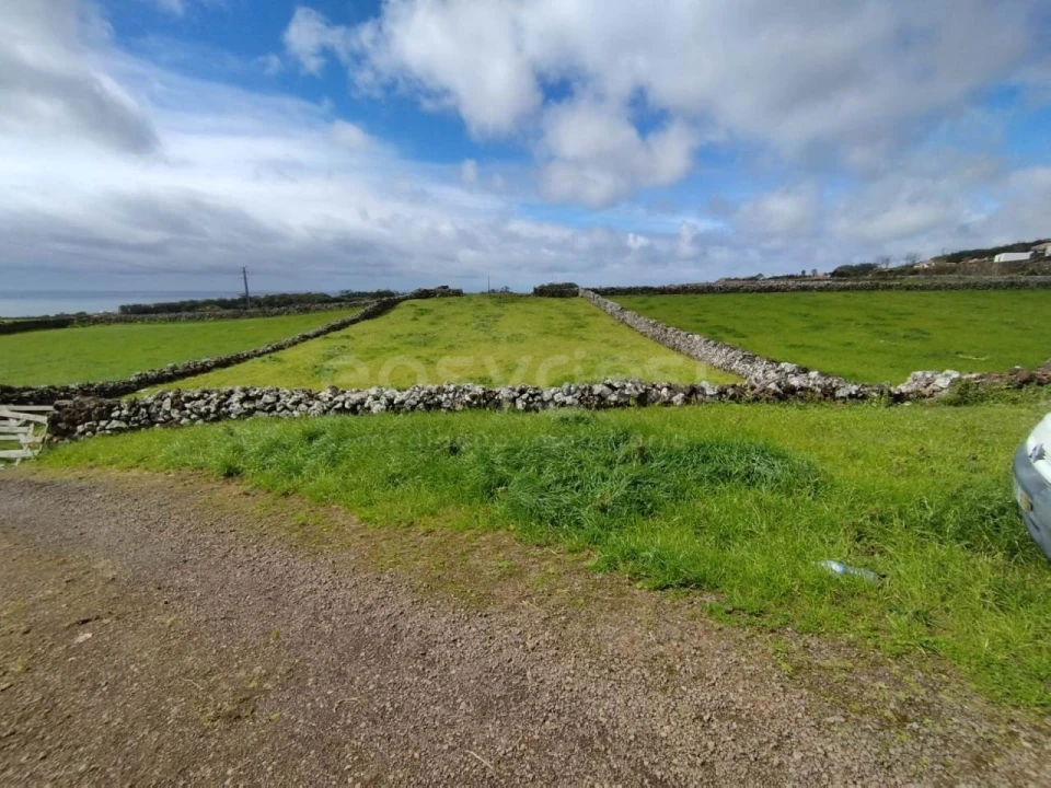 Terreno Agricola ou Rústico para Venda em São Mateus da Calheta Foto 9