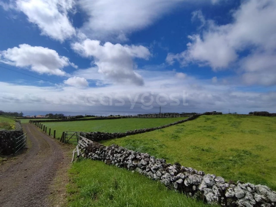 Terreno Agricola ou Rústico para Venda em São Mateus da Calheta Foto 16