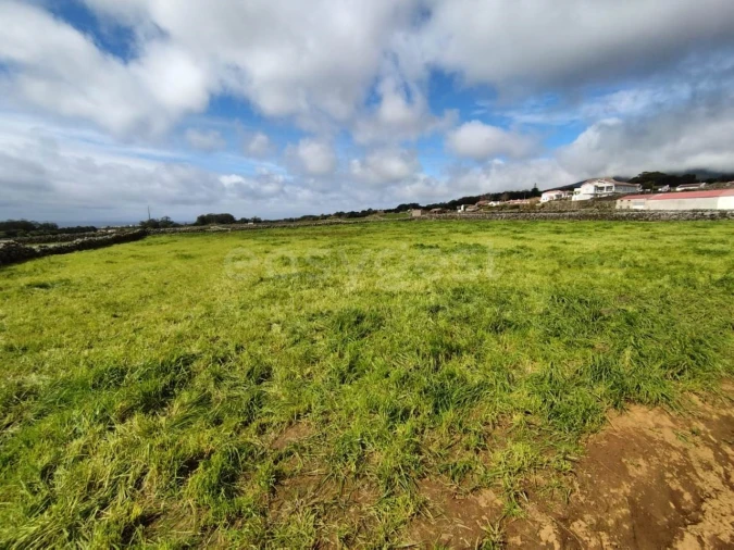 Terreno Agricola ou Rústico para Venda em São Mateus da Calheta Foto 5