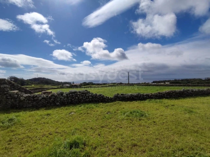 Terreno Agricola ou Rústico para Venda em São Mateus da Calheta Foto 8
