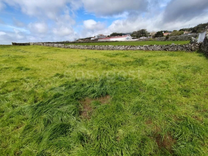Terreno Agricola ou Rústico para Venda em São Mateus da Calheta Foto 13