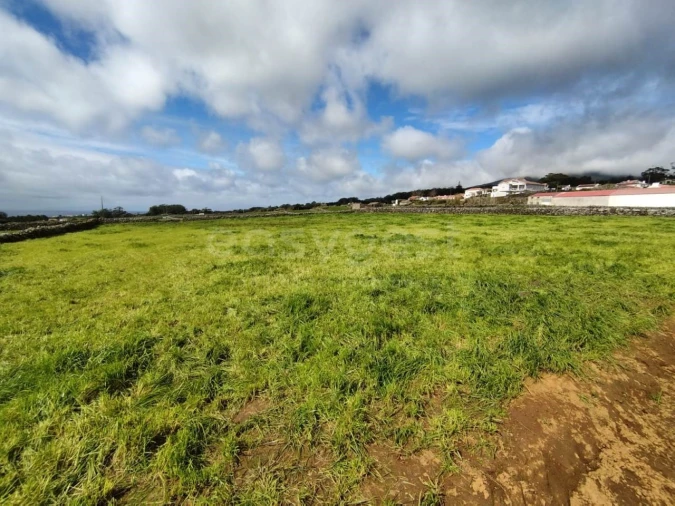 Terreno Agricola ou Rústico para Venda em São Mateus da Calheta Foto 14