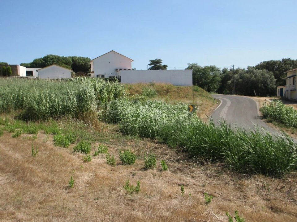 Terreno para Venda em Vidais Foto 2