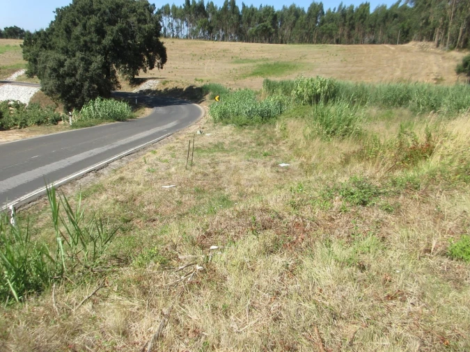 Terreno para Venda em Vidais Foto 4