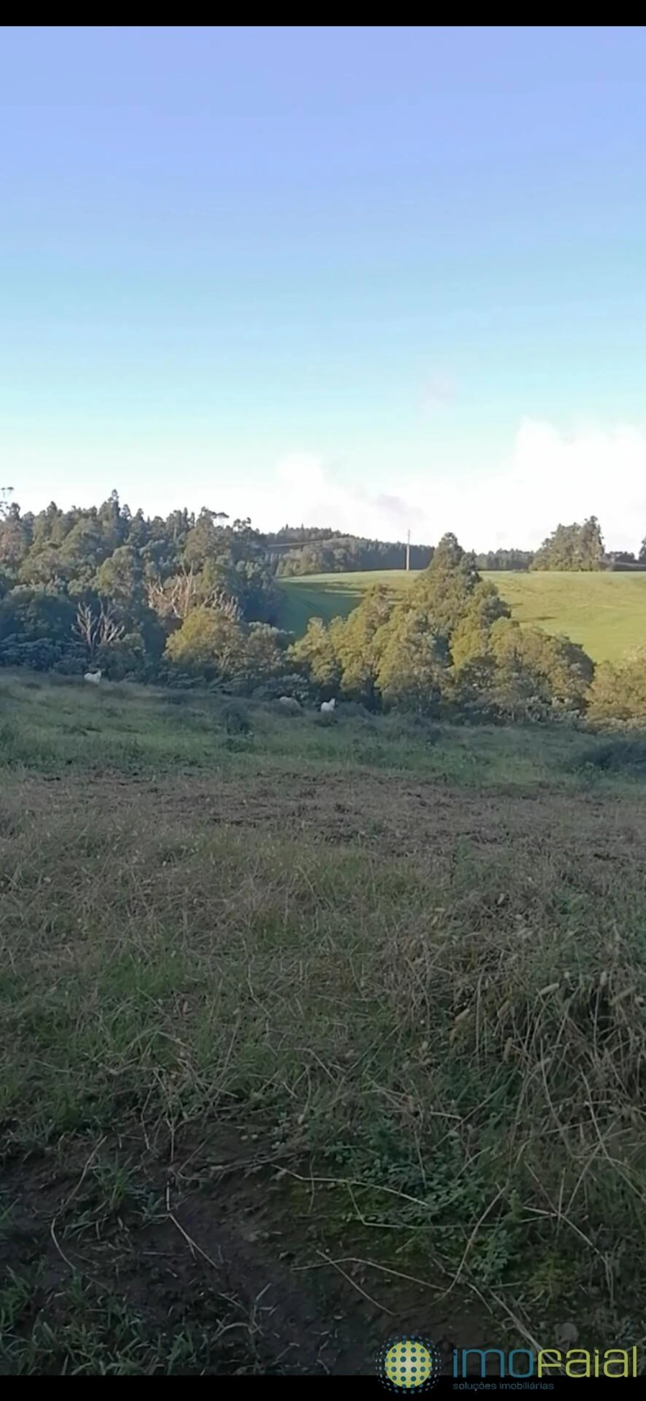 Terreno para Venda em Praia do Almoxarife Foto 4